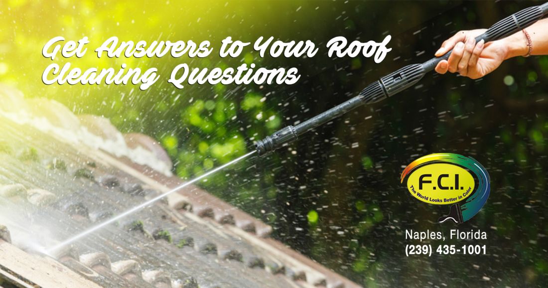 get answers to your roof cleaning questions